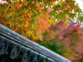 Beautiful fall color near the Tenju-an Temple Royalty Free Stock Photo