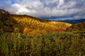 Beautiful fall colors abound on the Blue Ridge Parkway in October Royalty Free Stock Photo