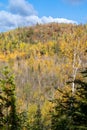 Beautiful fall colors along the Bean and Bear loop trail on the Superior Hiking trail in Minnesota Royalty Free Stock Photo