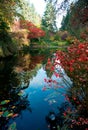 Beautiful Fall Colors in The Buchart Garden 3