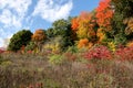 Fall color on Chorley Park to Beltline Trail, Toronto, Ontario Royalty Free Stock Photo