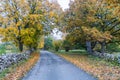 Beautiful fall colors by a country road Royalty Free Stock Photo