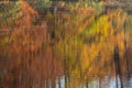 Beautiful Fall Colors Create Reflective Texture Pattern On Lake Surfacee