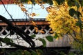 AUTUMN-FALL- The Silk Road Covered Bridge in Bennington Vermont Royalty Free Stock Photo