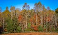 Beautiful fall colors fill the Pisgah Forest Royalty Free Stock Photo