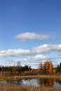 Wide open Manitoba Sky in Fall Royalty Free Stock Photo