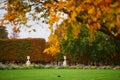 Beautiful fall day in Tuileries garden, Paris