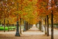 Beautiful fall day in Tuileries garden, Paris