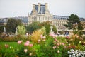 Beautiful fall day in Tuileries garden, Paris