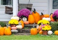 Beautiful fall display at home Royalty Free Stock Photo