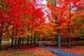 Beautiful fall foliage Autumn Colors in the northeast USA Royalty Free Stock Photo