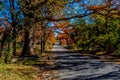 Beautiful Fall Foliage Framing a Lonely Country Road on the Guadelupe River, Texas. Royalty Free Stock Photo