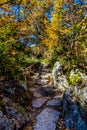 Beautiful Fall Foliage on Hamilton Creek, Texas. Royalty Free Stock Photo