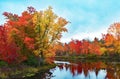 Gorgeous fall sugar maple trees with reflection in a lake. Royalty Free Stock Photo