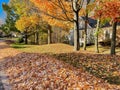 Beautiful fall foliage maple trees and large pile at front yard ready for curbside collection pickup service in Rochester, Upstate