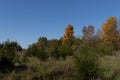 Beautiful Fall foliage scene on a nature trail in Pennsylvania