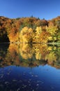 Beautiful fall forest reflected in a calm lake