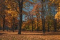 Beautiful Fall landscape at the city park. Royalty Free Stock Photo