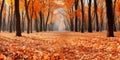 Beautiful fall landscape showing trees with autumn colors - AI Generated Royalty Free Stock Photo
