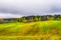 Beautiful Fall Landscape with Wavy Colorful Fields Under rainy Grey Skies