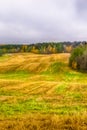 Beautiful Fall Landscape with Wavy Colorful Fields Under rainy Grey Skies