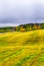 Beautiful Fall Landscape with Wavy Colorful Fields Under rainy Grey Skies