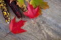 Beautiful Fall Maple Leaves and Colored Corn on a Cob on Barn Wood Royalty Free Stock Photo