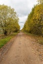 Beautiful Fall scene on curved unpaved road with colorful leaves on trees and in the road Royalty Free Stock Photo