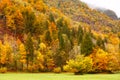 Beautiful fall scene Royalty Free Stock Photo