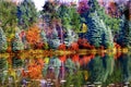 Beautiful fall scene on a mountain lake, read and orange Royalty Free Stock Photo