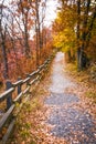 Beautiful fall scene , a path with colorful trees and leaves Royalty Free Stock Photo