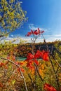 Beautiful Fall scenery over the Niagara river, overlooking the US side, , Niagara Falls, ON, Canada Royalty Free Stock Photo