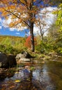Beautiful Fall stream Royalty Free Stock Photo