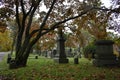 Beautiful Fall Tree, Sleepy Hollow Cemetery, Historic New York