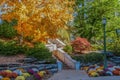 Beautiful fall trees and flowers surround staircase up a hill on sunny autumn day Royalty Free Stock Photo