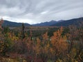 Beautiful Fall Vibes Throughtout The Valley