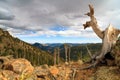 Rocky Mountain Autumn Views