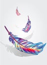 Beautiful falling feathers Royalty Free Stock Photo