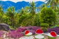 Koh Phi Phi Don Thailand beach island viewpoint panorama view Royalty Free Stock Photo