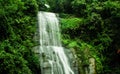 Beautiful and famous greenish waterfall.