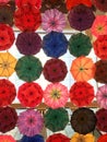 Beautiful fancy umbrellas hung from the ceiling