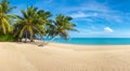 beautiful fantastic beach on a sunny day with palm trees