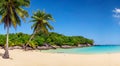 beautiful fantastic beach on a sunny day with palm trees and amazing perfect blue sky