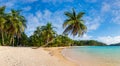 beautiful fantastic beach on a sunny day with palm trees and a perfect blue sky