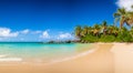 beautiful fantastic beach on a sunny day with palm trees and a blue sky