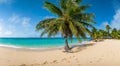 beautiful fantastic beach on a sunny summer day surrounded by beautiful palm trees and trees