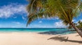 beautiful fantastic beach on a sunny summer day surrounded by trees