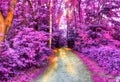 Beautiful fantasy infrared view into a relaxing purple forest