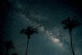 Beautiful fantasy of palm tree at tropical beach with milky way stars in night skies background. Royalty Free Stock Photo