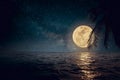 Beautiful fantasy tropical beach with star and full moon in night skies Royalty Free Stock Photo